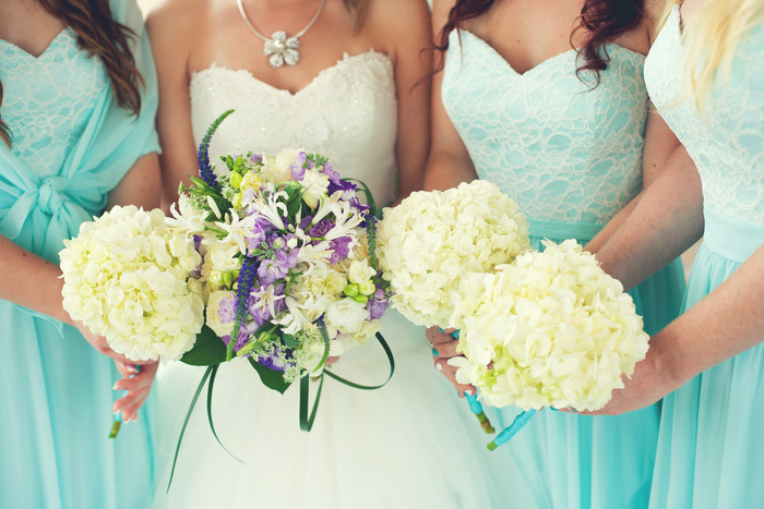 Header_1.jpg
